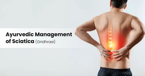 Ayurvedic Management of Sciatica (Gridhrasi)