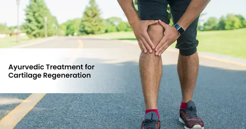 Ayurvedic treatment for cartilage regeneration