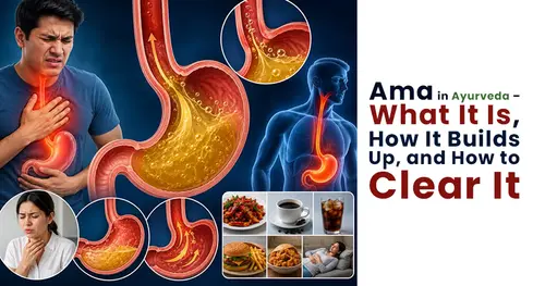 Ama in Ayurveda – What It Is, How It Builds Up, and How to Clear It 