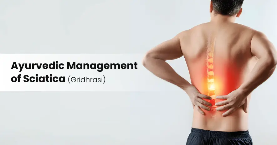 Ayurvedic Management of Sciatica (Gridhrasi)