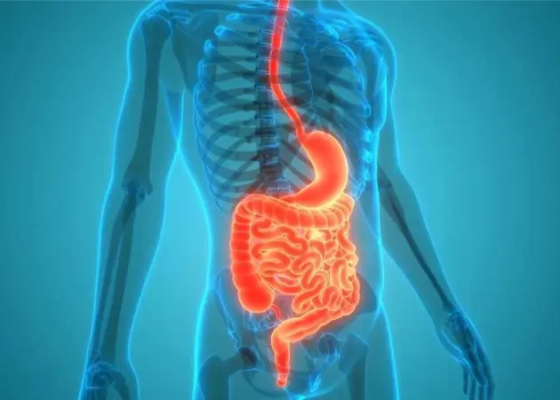 Digestive Wellbeing