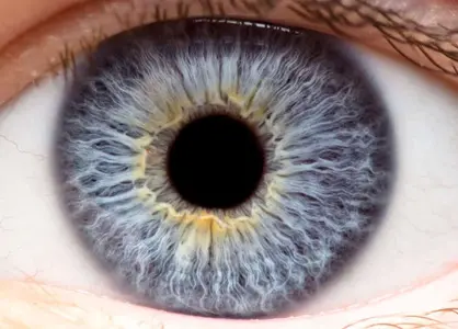 Corneal and Scleral Diseases