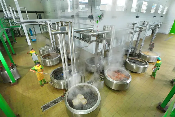 Steam Operated Plant